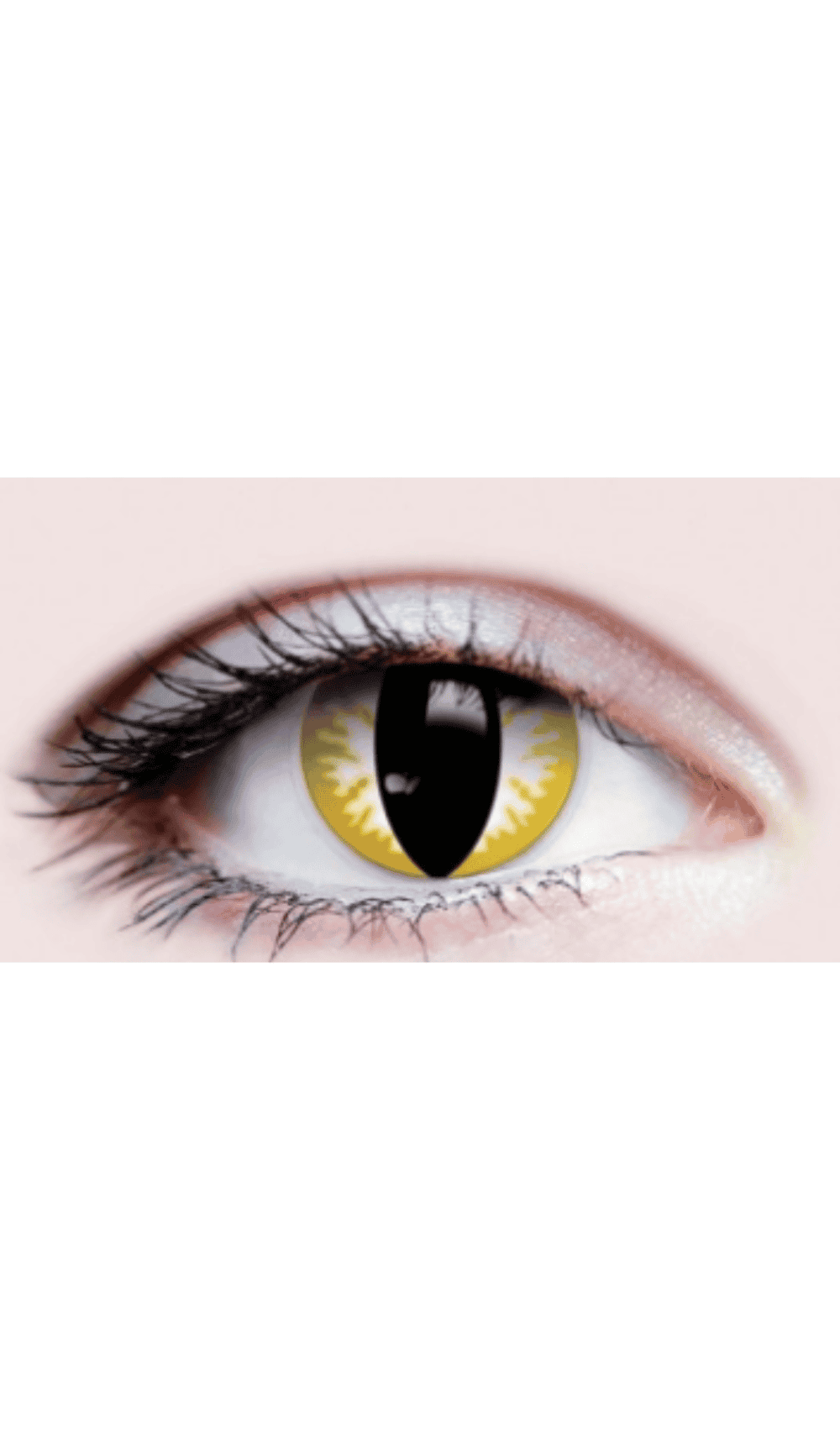 Contact Lenses Thriller Dress Up Costume
