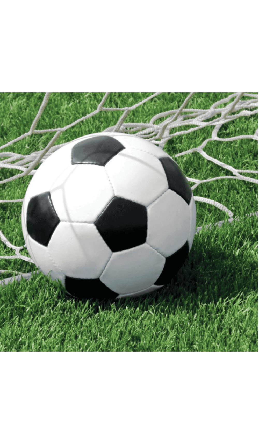 soccer ball party napkins